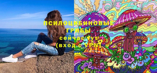 хмурый Липки
